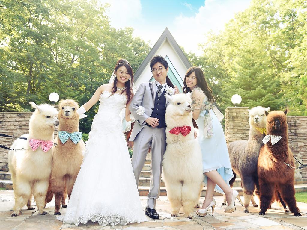 โรงแรมเอพินาร์ด นาซุ นาสุ ภายนอก รูปภาพ